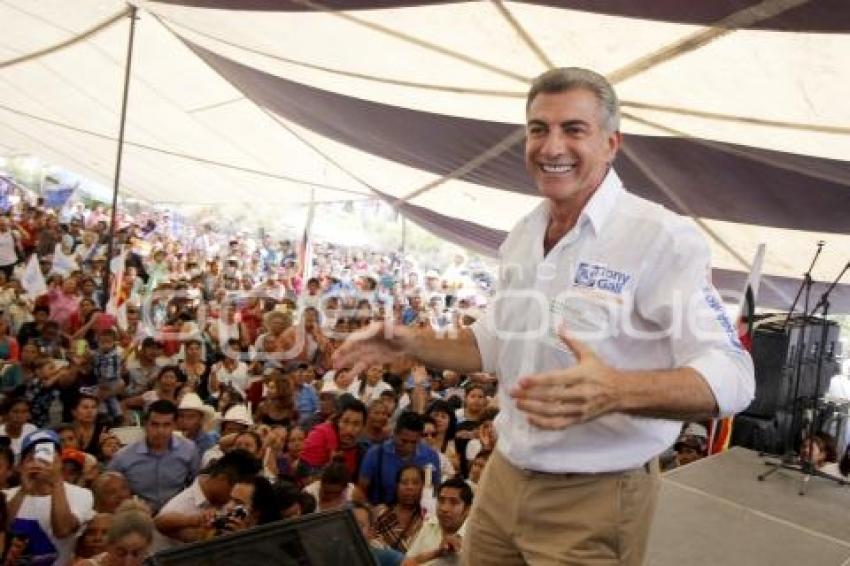 ELECCIONES . TONY GALI