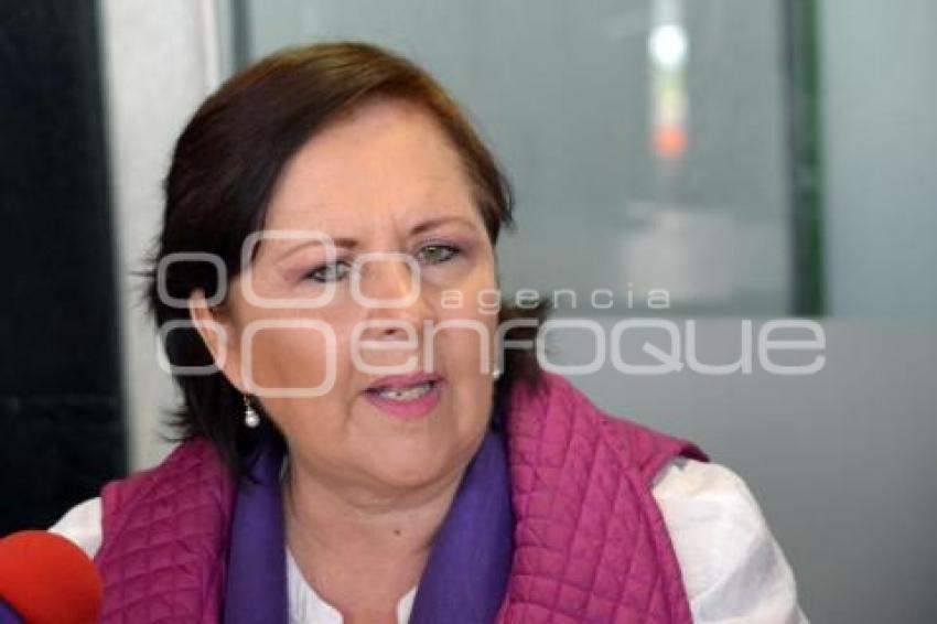 ELECCIONES . ANA TERESA ARANDA 