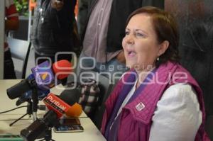 ELECCIONES . ANA TERESA ARANDA 