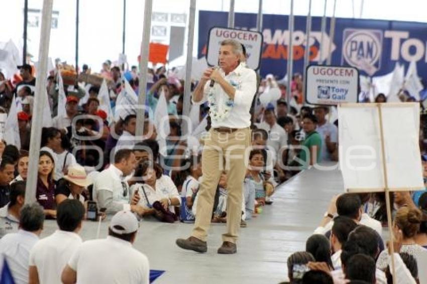 ELECCIONES . TONY GALI