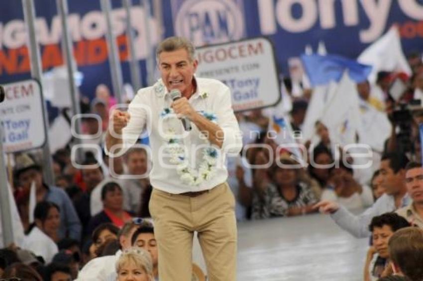 ELECCIONES . TONY GALI