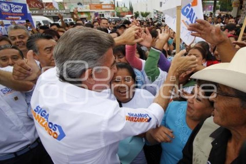 ELECCIONES . TONY GALI