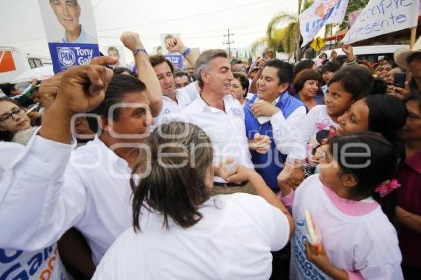 ELECCIONES . TONY GALI