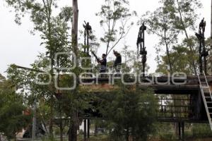 CARROS ALEGÓRICOS . FUERTES