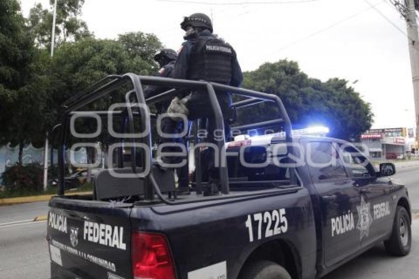 ELECCIONES . POLICÍA FEDERAL 