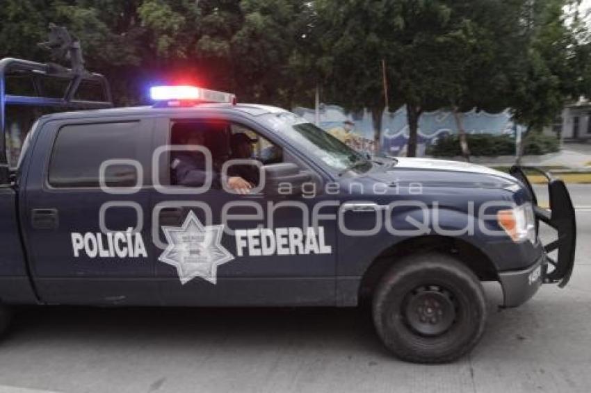 ELECCIONES . POLICÍA FEDERAL 