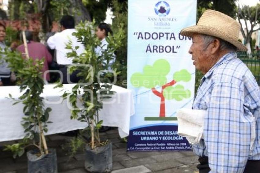 MEDIO AMBIENTE . ADOPTA UN ÁRBOL