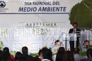 MEDIO AMBIENTE . ADOPTA UN ÁRBOL