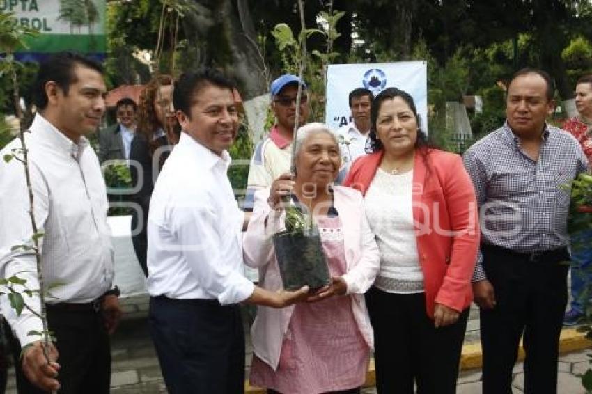 MEDIO AMBIENTE . ADOPTA UN ÁRBOL