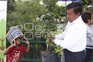 MEDIO AMBIENTE . ADOPTA UN ÁRBOL