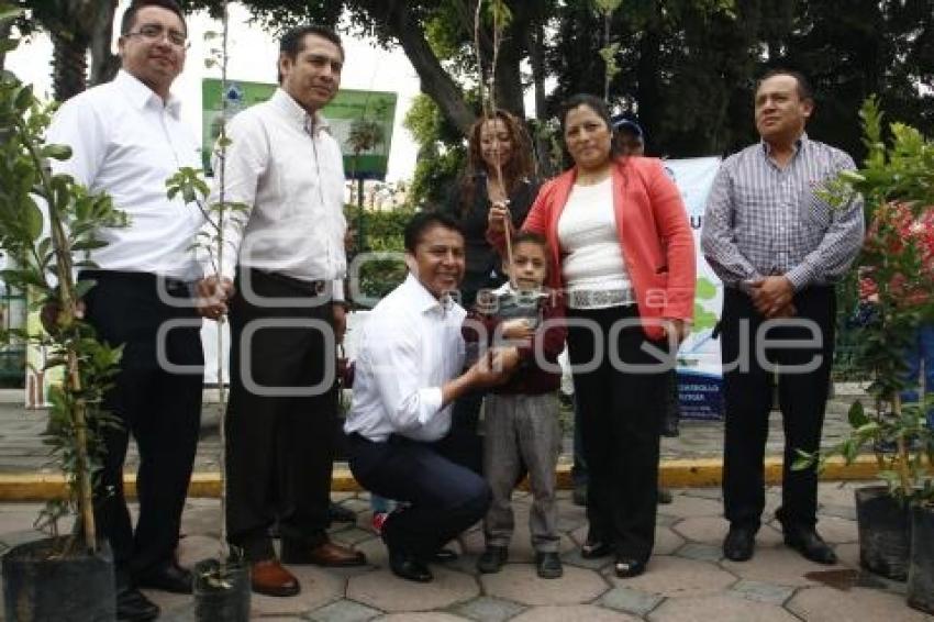 MEDIO AMBIENTE . ADOPTA UN ÁRBOL