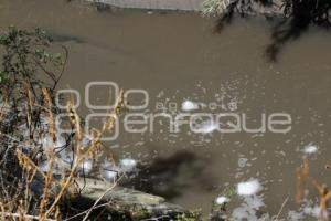 CONTAMINACIÓN RÍO ATOYAC