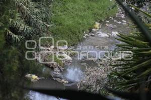 CONTAMINACIÓN RÍO ATOYAC