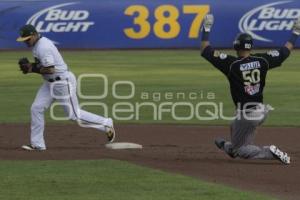 BEISBOL . PERICOS VS SULTANES