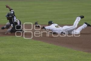 BEISBOL . PERICOS VS SULTANES