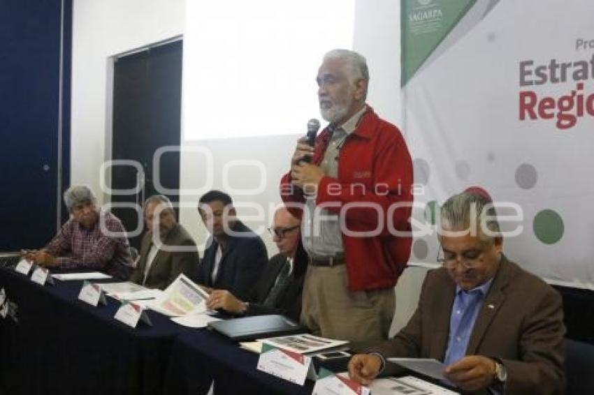 PROYECTOS ESTRATEGICOS REGIONALES