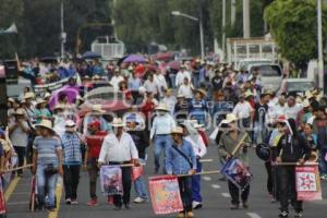 28 DE OCTUBRE . MANIFESTACIÓN