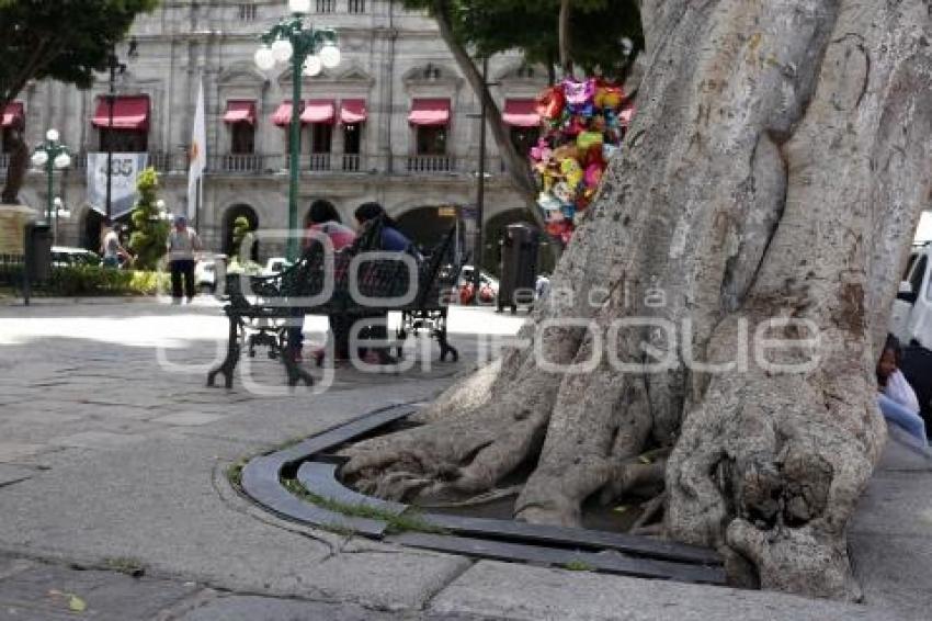 ZOCALO . ARBOTRON