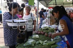 FERIA DEL NOPAL