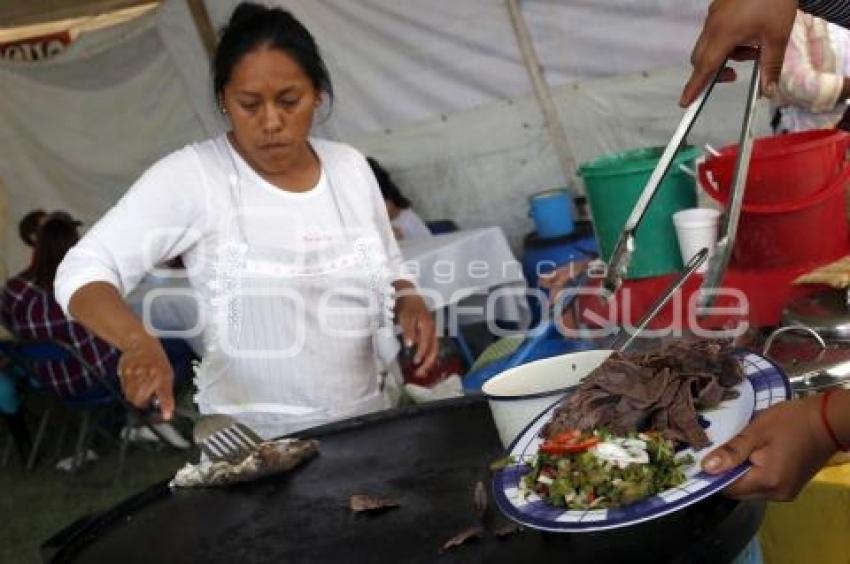 FERIA DEL NOPAL