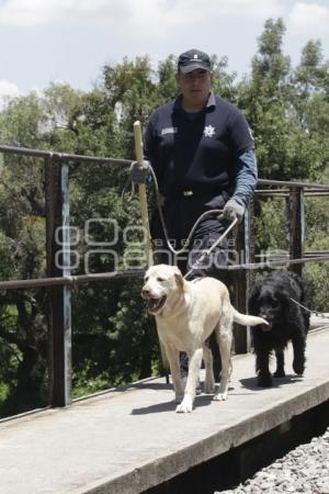 BOMBEROS BÚSQUEDA ADOLESCENTE RÍO ATOYAC