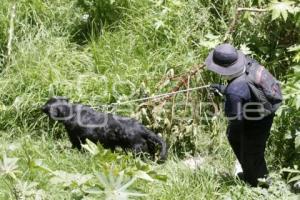 BOMBEROS BÚSQUEDA ADOLESCENTE RÍO ATOYAC