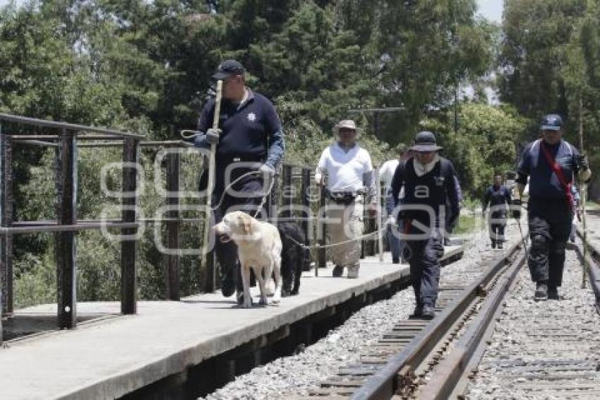 BOMBEROS BÚSQUEDA ADOLESCENTE RÍO ATOYAC