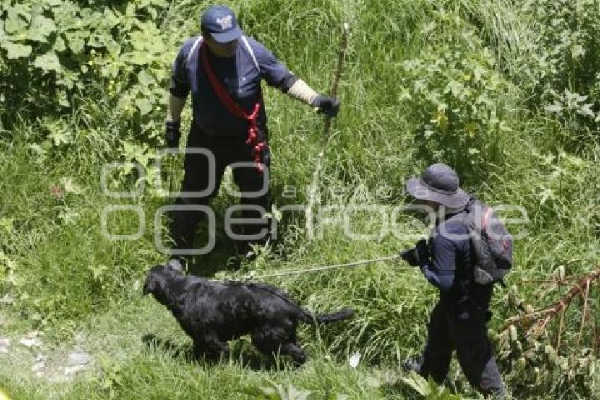 BOMBEROS BÚSQUEDA ADOLESCENTE RÍO ATOYAC