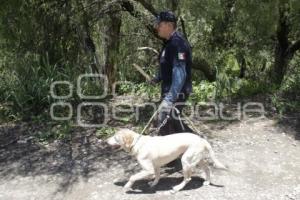 BOMBEROS BÚSQUEDA ADOLESCENTE RÍO ATOYAC