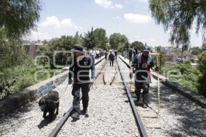 BOMBEROS BÚSQUEDA ADOLESCENTE RÍO ATOYAC