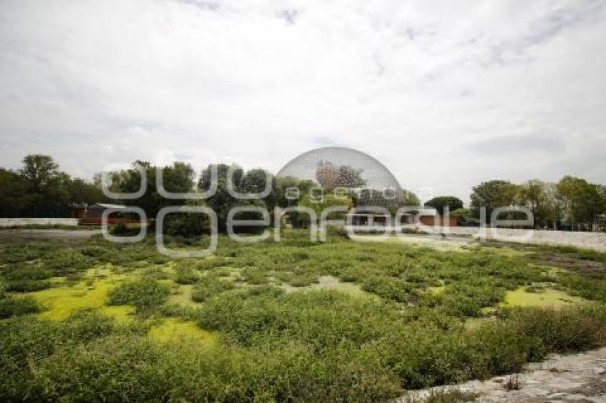 AVIARIO . PARQUE ECOLÓGICO