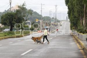 VÍA RECREATIVA METROPOLITANA