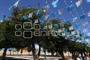 DÍA DEL ÁRBOL
