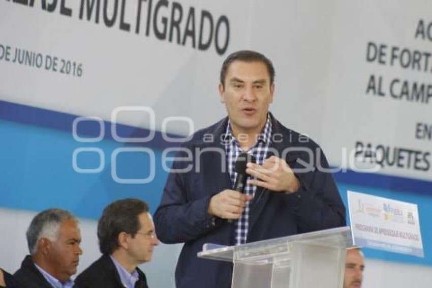 PROGRAMA DE APRENDIZAJE MULTIGRADO