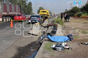 MOTOCICLISTA MUERTO AUTOPISTA