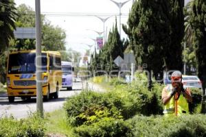 CICLOVIA HERMANOS SERDÁN