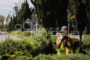 CICLOVIA HERMANOS SERDÁN