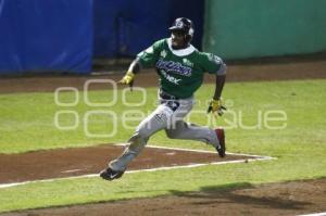 BÉISBOL . PERICOS VS DELFINES