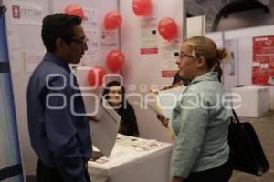 FERIA DEL EMPLEO