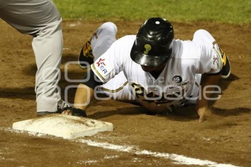 BÉISBOL . PERICOS VS DELFINES