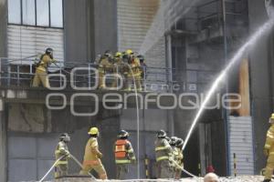 SIMULACRO EMERGENCIA QUÍMICA . BASF