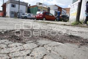 BACHES