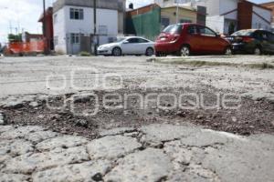 BACHES