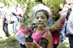 JORNADA SEMBRANDO PUEBLA . SEDATU