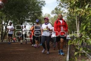 CARRERA CORRISSSTE