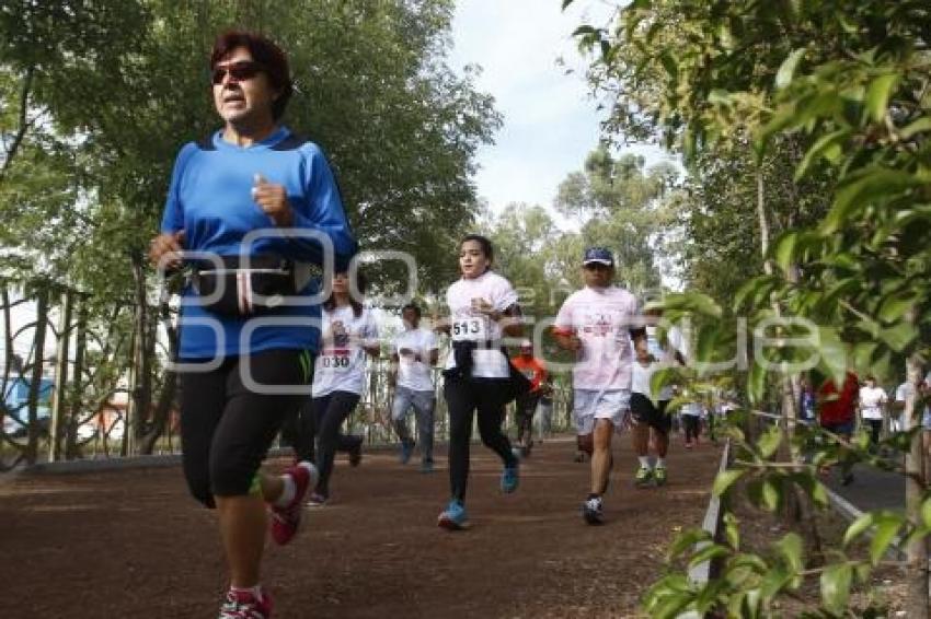 CARRERA CORRISSSTE