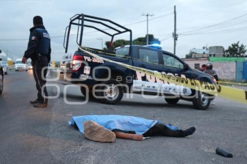 ATROPELLADO ÁNGELES BARRANCA HONDA