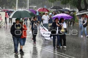 MANIFESTACIÓN MAESTROS CNTE