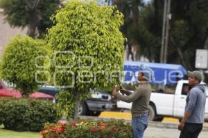 DÍA DEL ARBOL