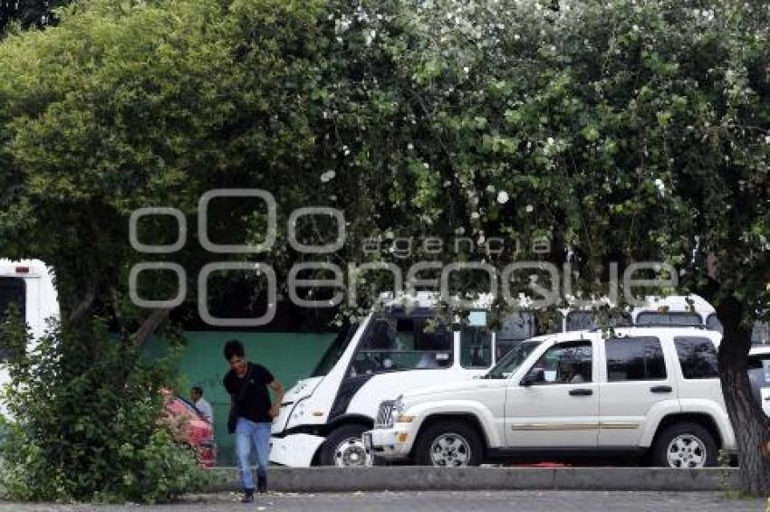 DÍA DEL ARBOL